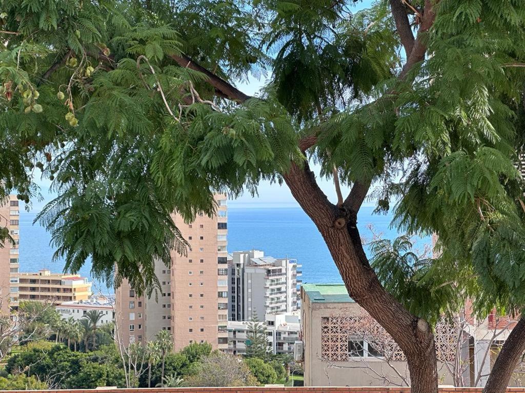 Tamara * Torremolinos